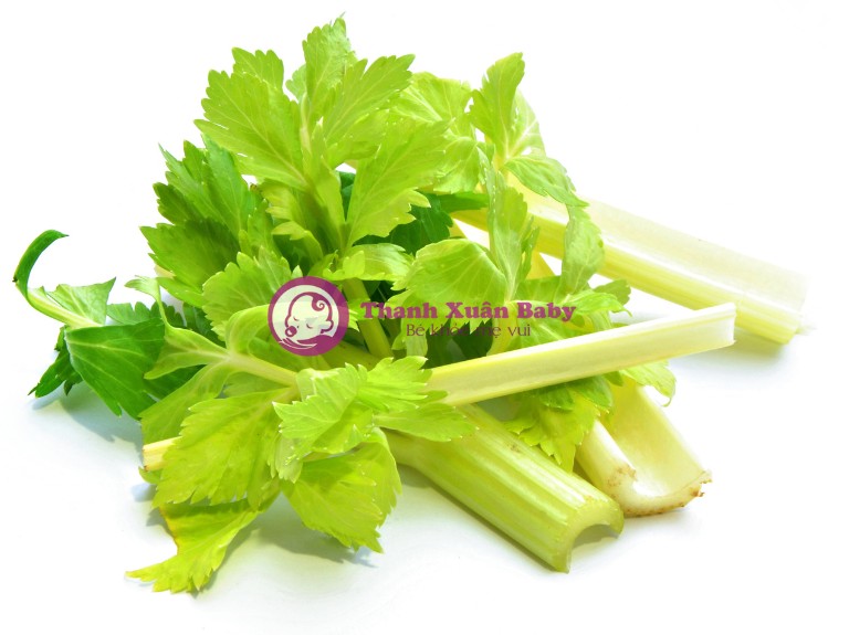 rau cần tây không tốt cho người suy thận