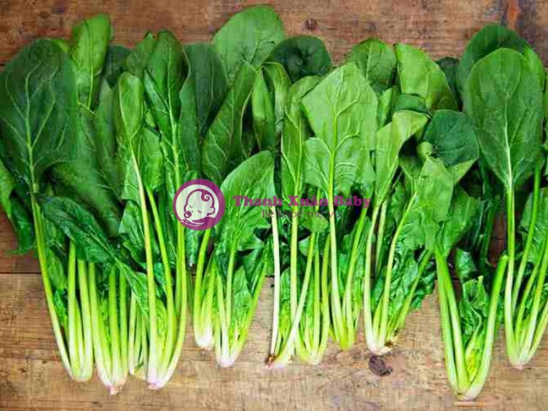 rau chân vịt không tốt cho người suy thận