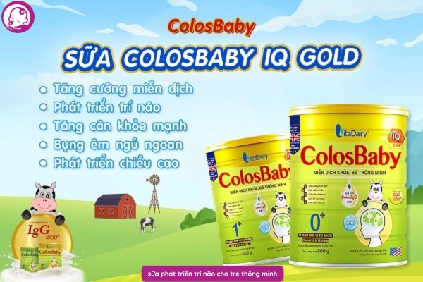 Sữa phát triển trí não cho bé ColosBaby IQ 1+